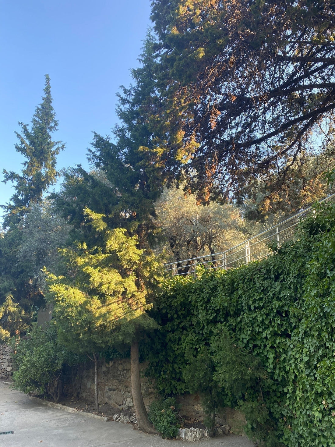 Le gâchis charpentier sonne comme ça
