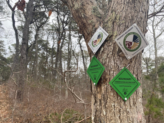 De l’ascendance du maître et des opportunités présentées par les trahisons du maître