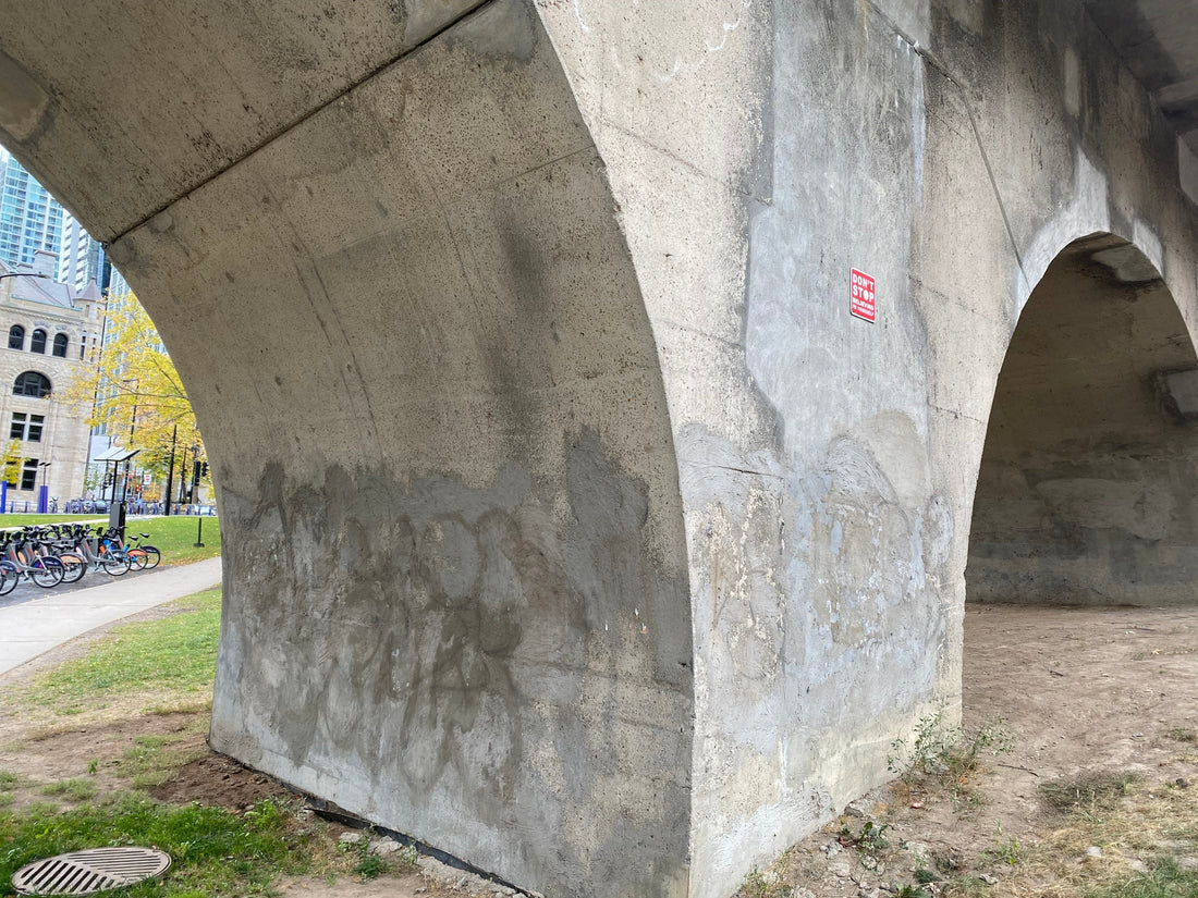 She knew why the caged bird sang