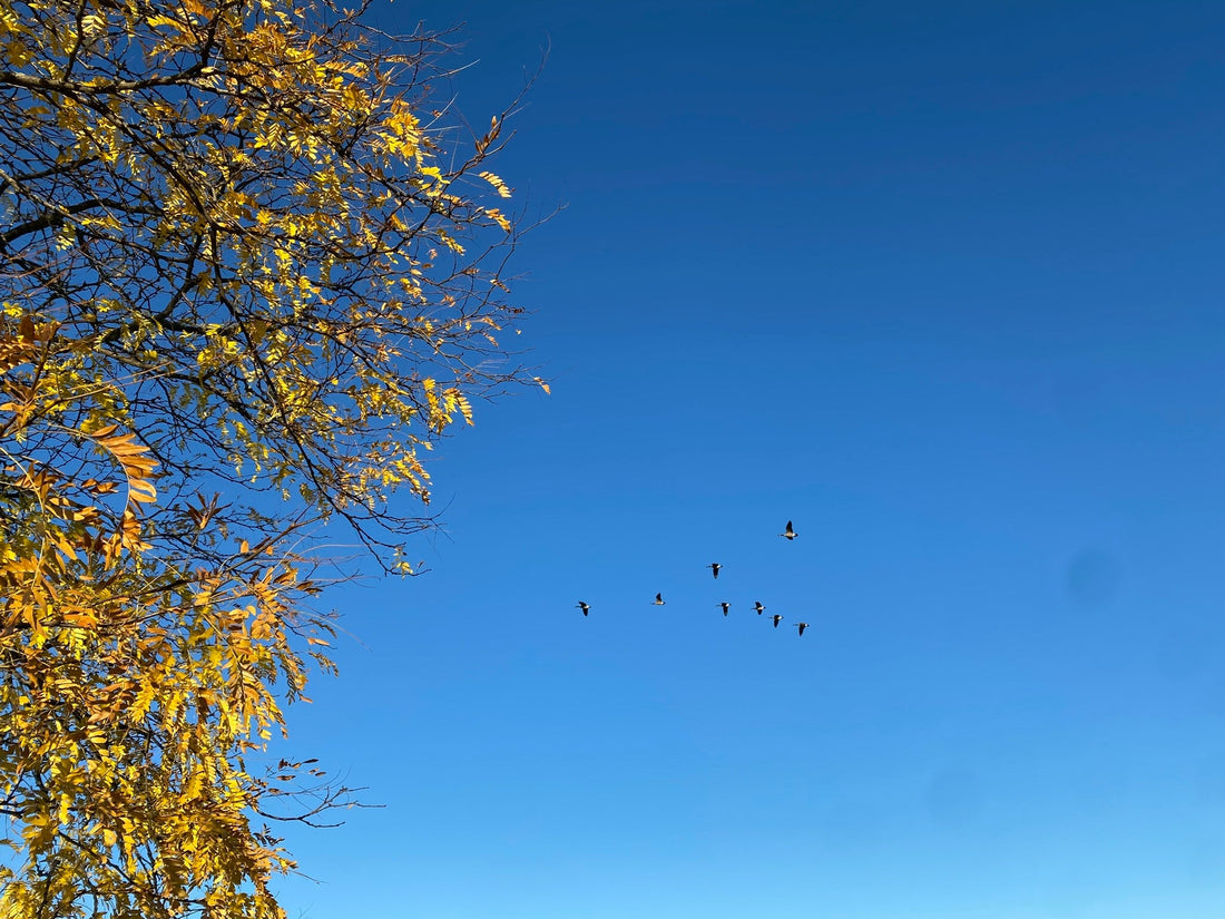 Que tu le veuilles ou non, tu suivras la friction