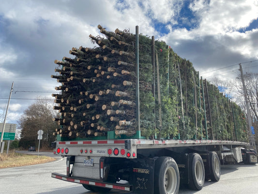 De Loin, par Savato Kiriako