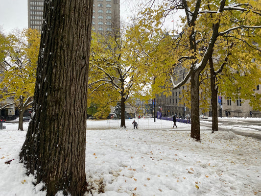 Il y aura toujours une Française