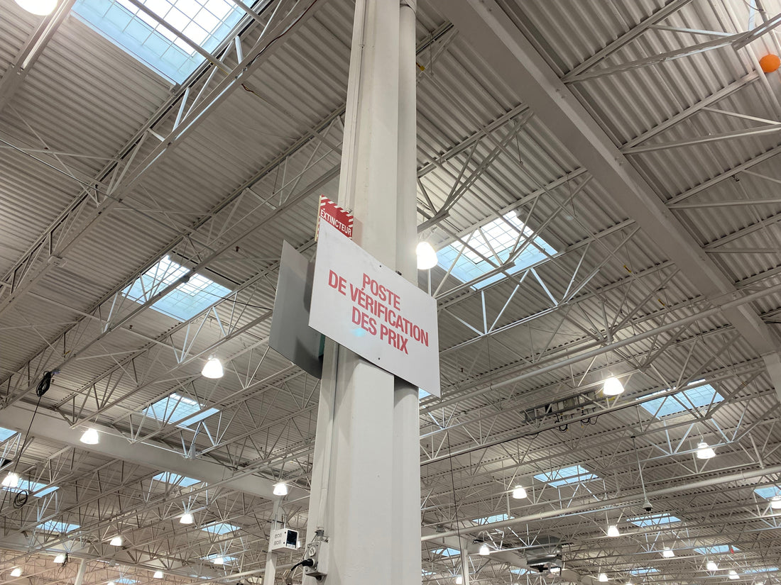 Extraits des fils de la pensée d'Hannah Arendt